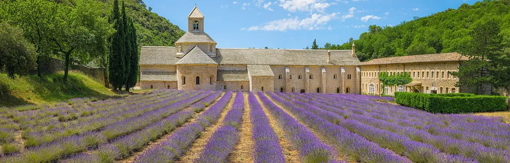 L'abbaye de Sénanque, abbaye cistercienne de pierre blonde, devant son champ de lavande en fleur dans son vallon du Luberon