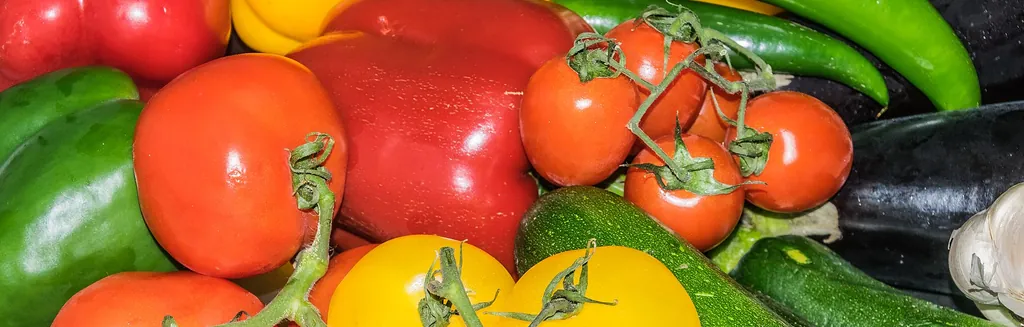 Fresh Provençal vegetables — courgettes, aubergines, peppers and tomatoes — laid out on a worktop for a ratatouille during a cooking class in the Luberon