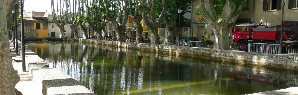 The great Étang basin in Cucuron, lined with tall plane trees, in the southern Luberon in Provence