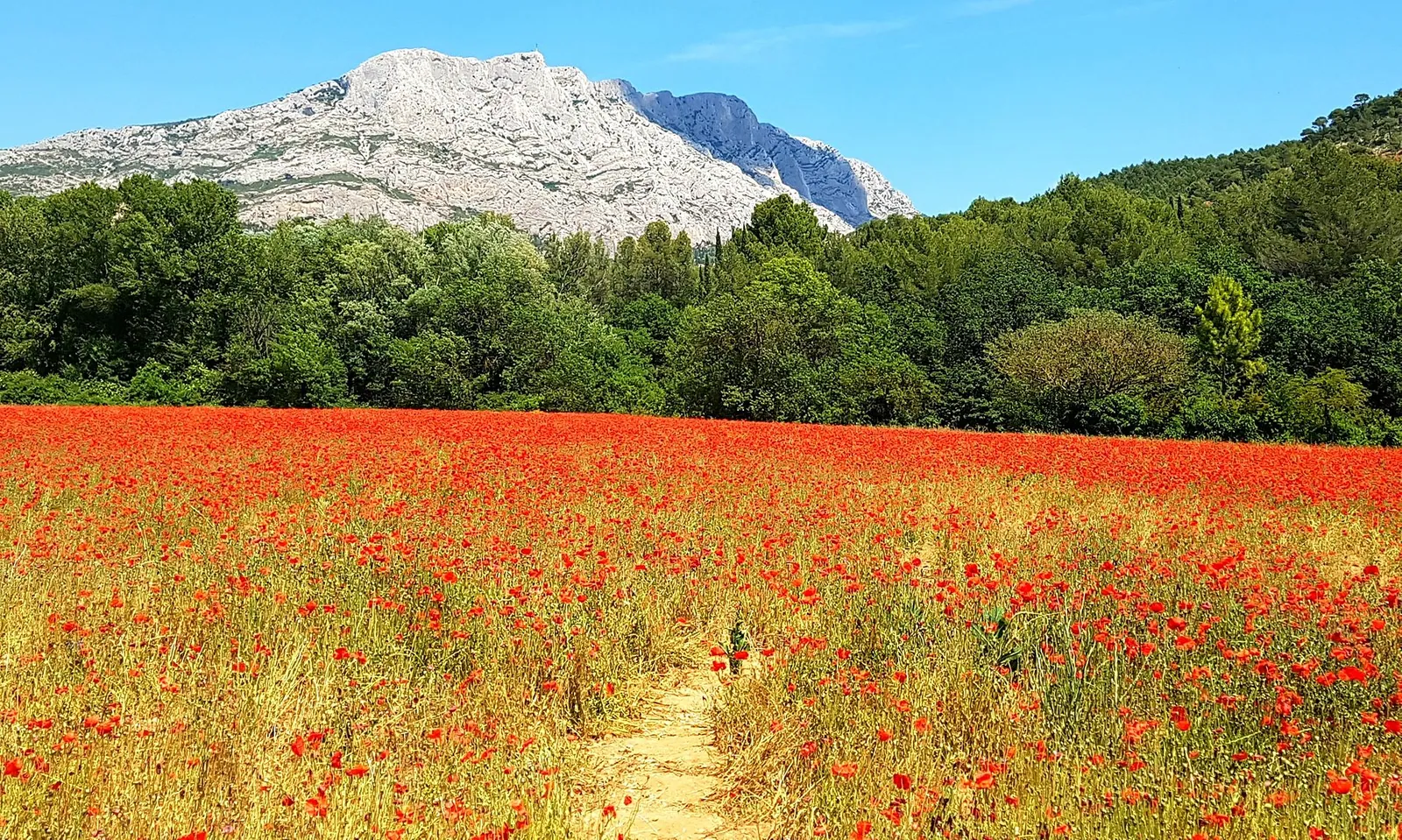 Le Luberon au printemps : que faire en avril-juin — Luberon, Provence