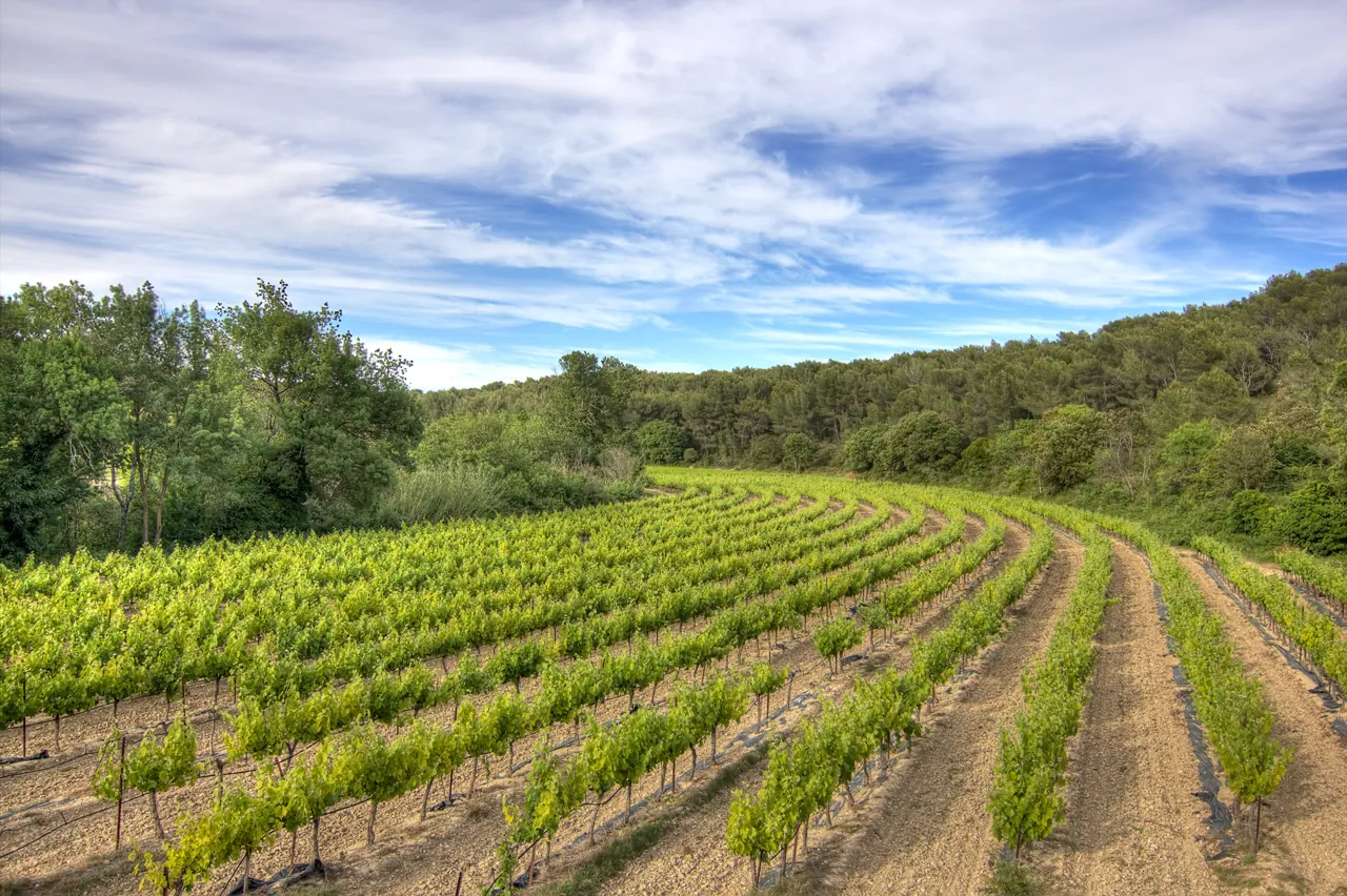 Le Luberon en automne : vendanges et couleurs — Luberon, Provence