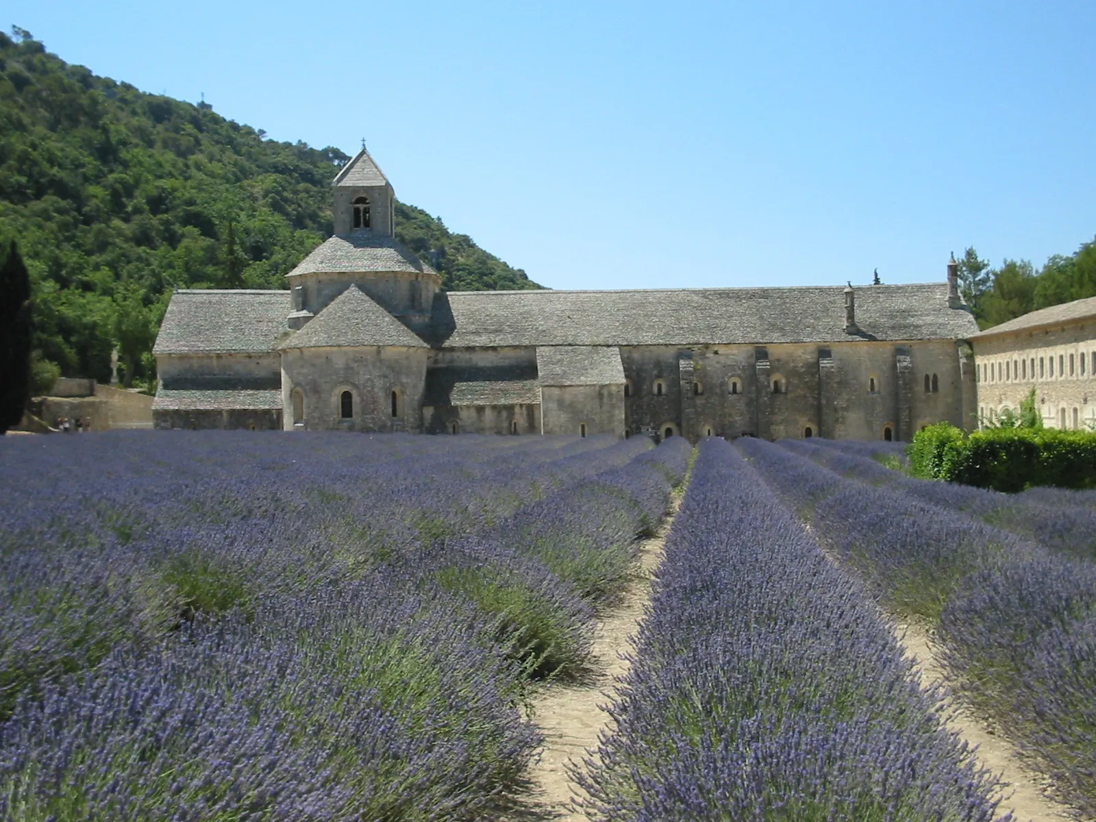 Quand venir en Provence ? Le guide des saisons — Luberon, Provence