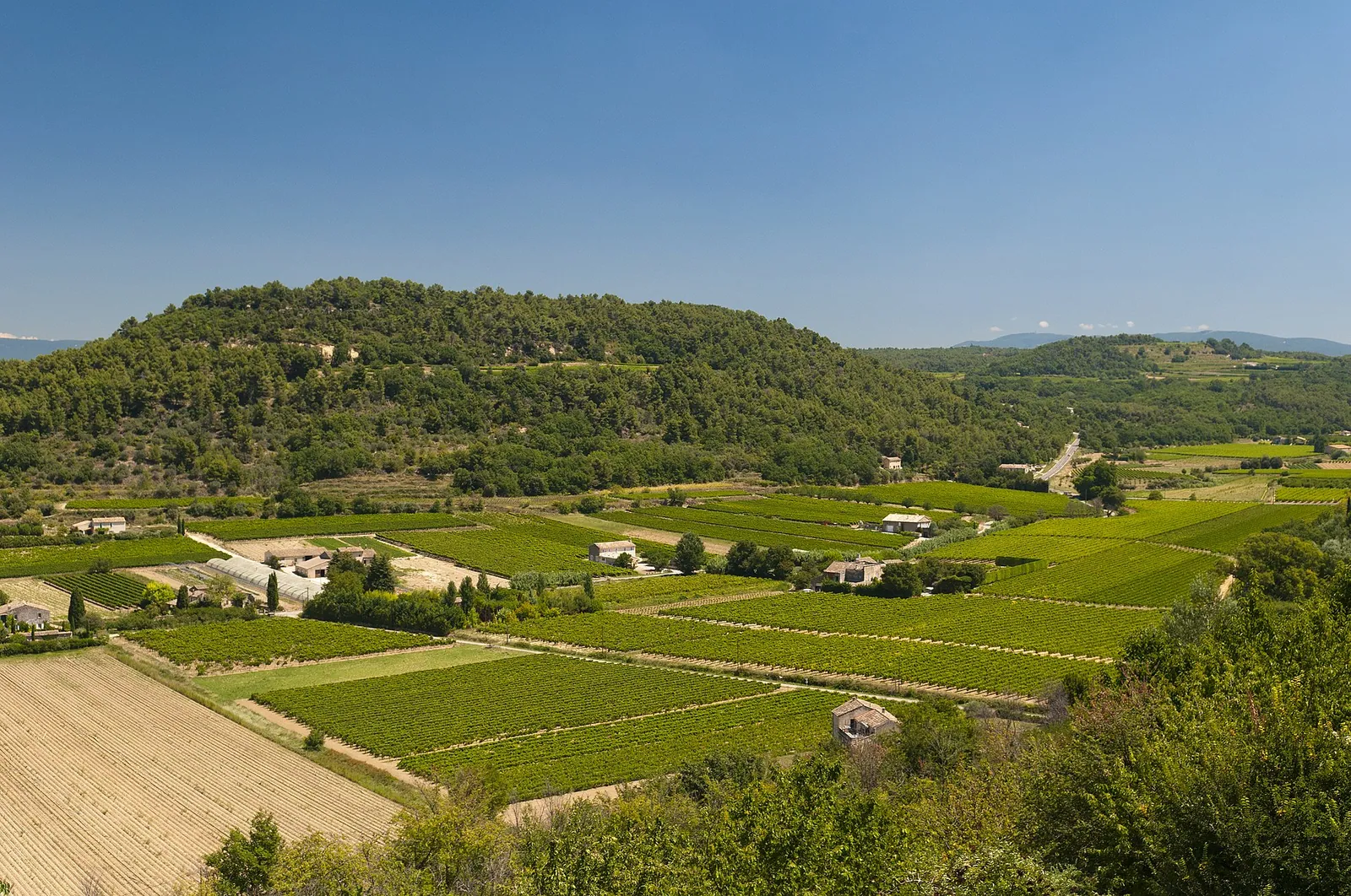 La route des vins du Luberon et du Ventoux — Luberon, Provence